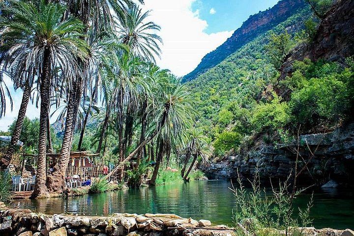 Natural pools surrounded by palm trees in Paradise Valley