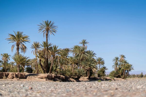 3 days morocco tour from fes