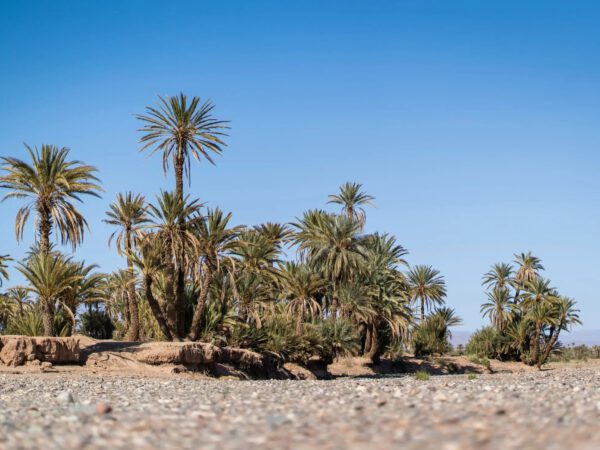 3 Giorni da Fes al Deserto fino a Marrakech