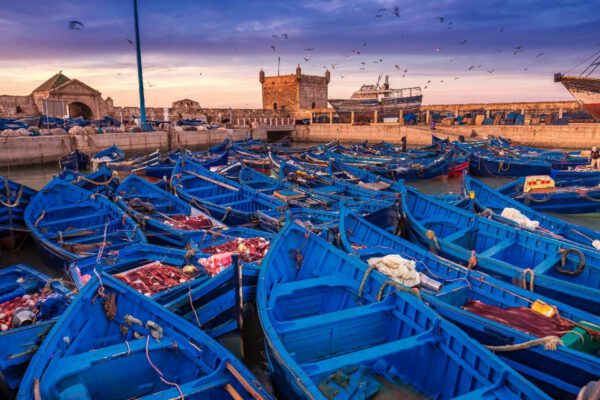 8 days tour from Tangier to Casablanca – Essaouira – Marrakech