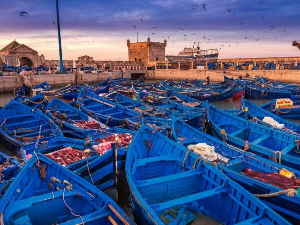 Tour di 8 giorni da Tangeri a Casablanca, Essaouira e Marrakech