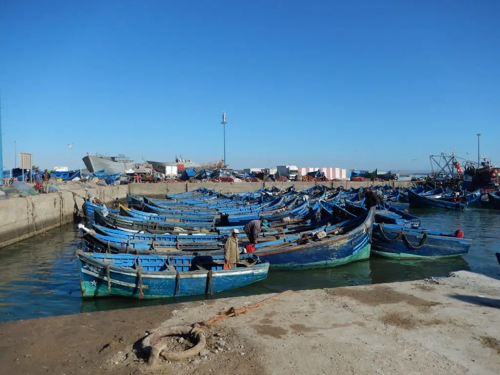 Blue fishing boats docked at the port of Essaouira