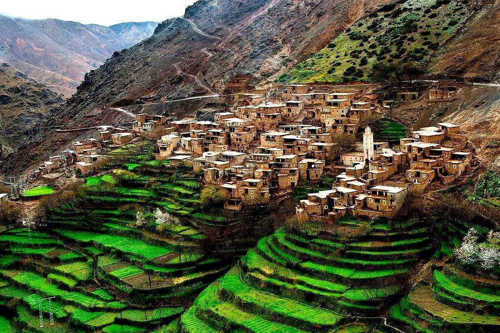 A traditional Berber village with terraced fields in the Atlas Mountains
